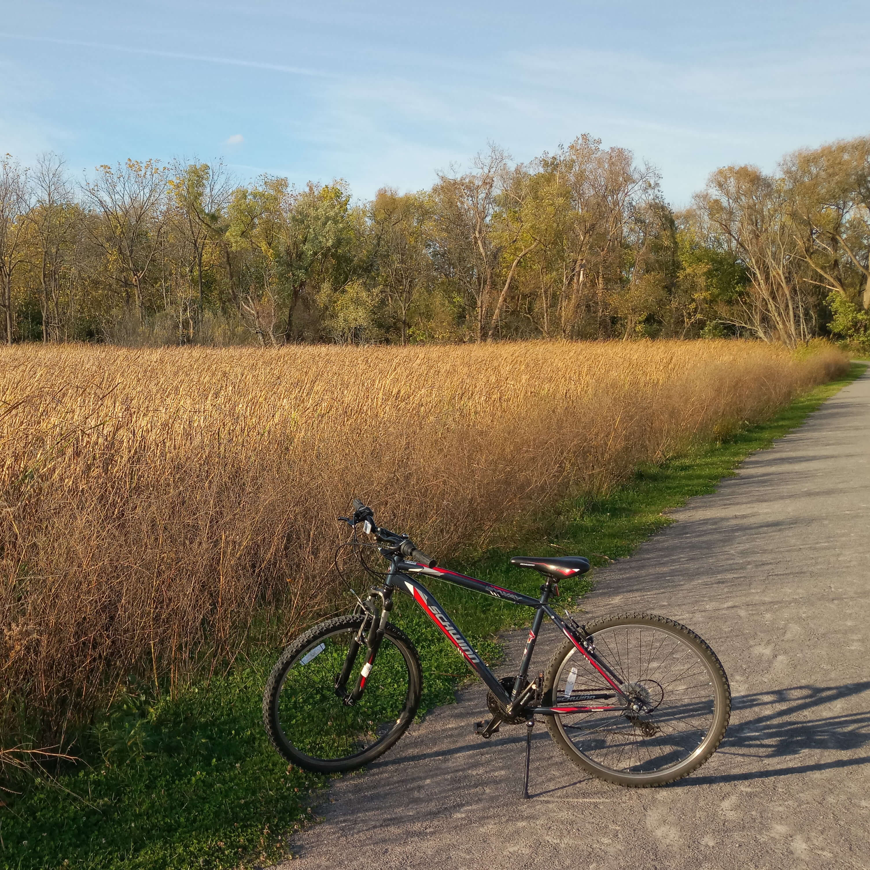 5 - Bike