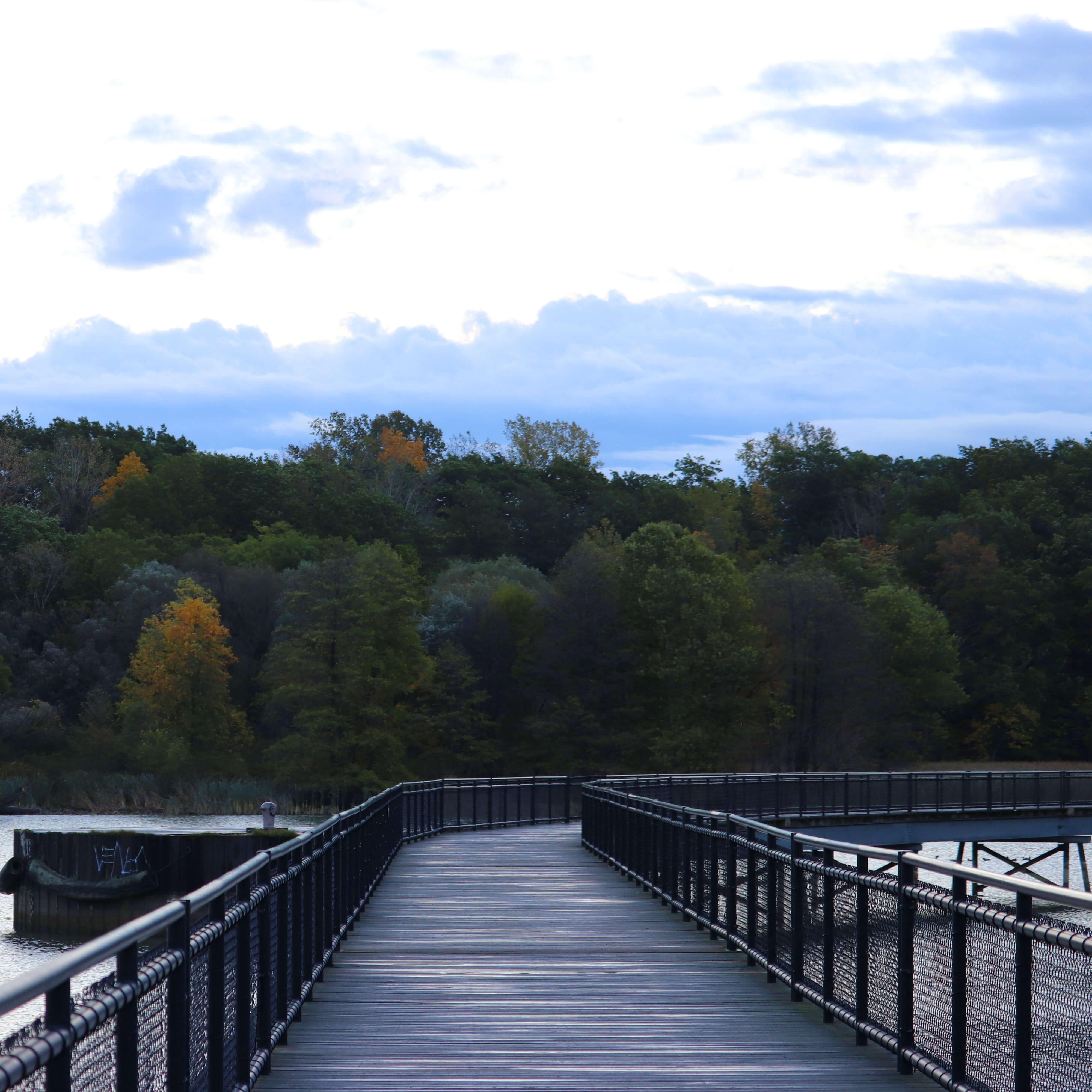 3d - Genesee River