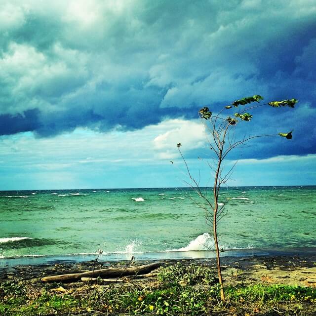 Those clouds though (Webster Park)