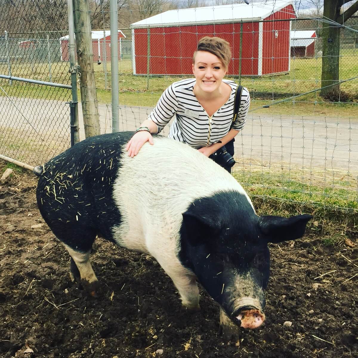 Paige Doerner of Lollypop Farm is all about sharing your city experiences with others.